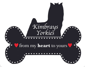 Kimbrays Yorkies